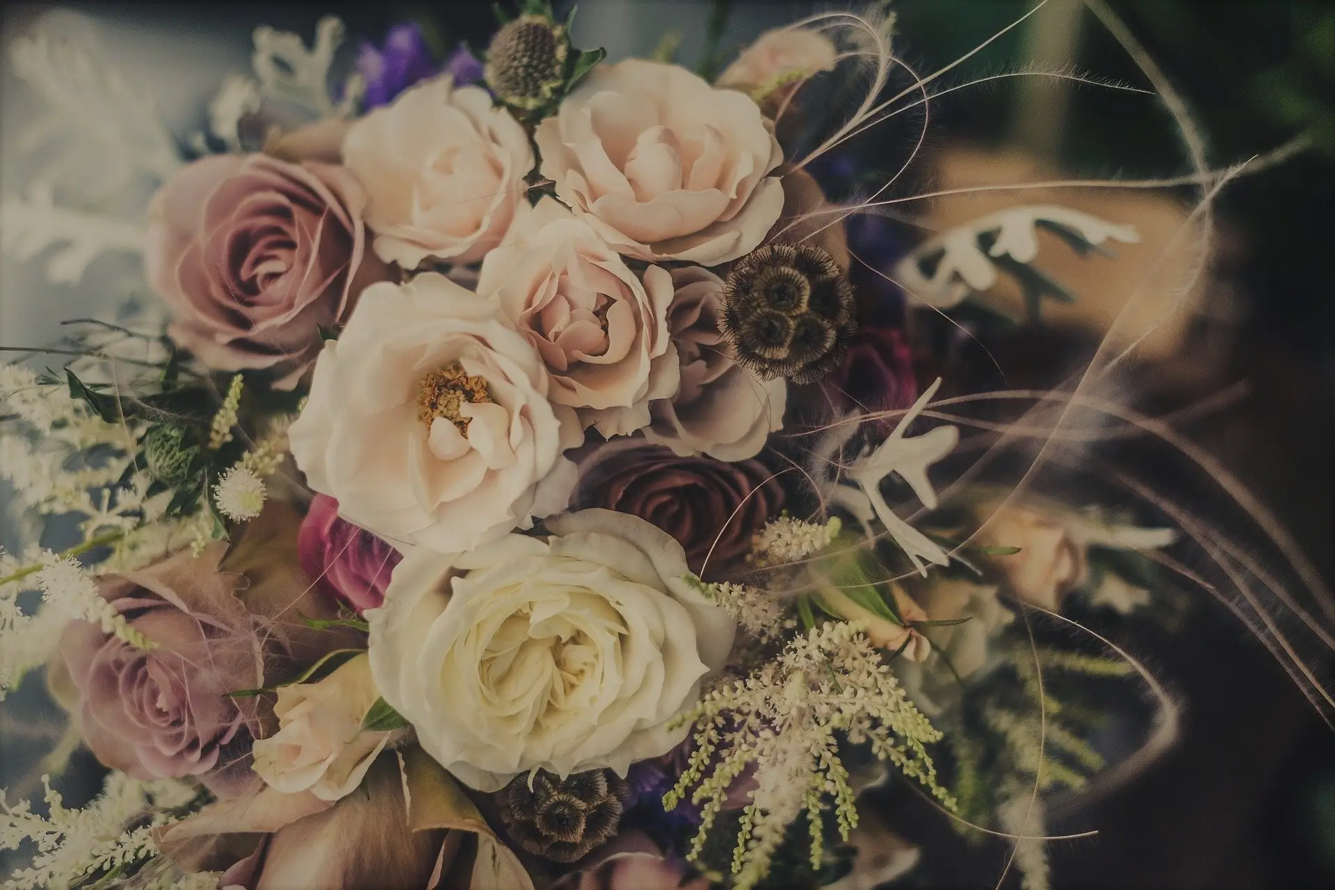 Arrière-plan de la section témoignages clients de Brin de pêche